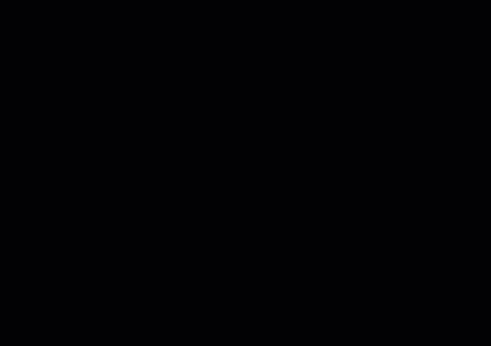 mceclip5.gif
